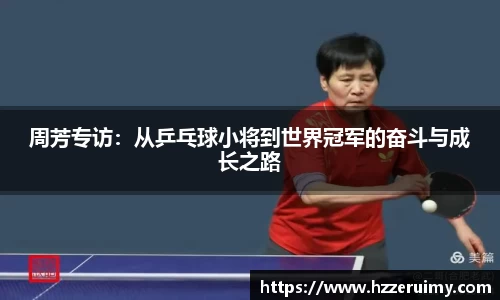 NG体育官网